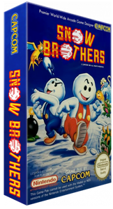 Snow Brothers